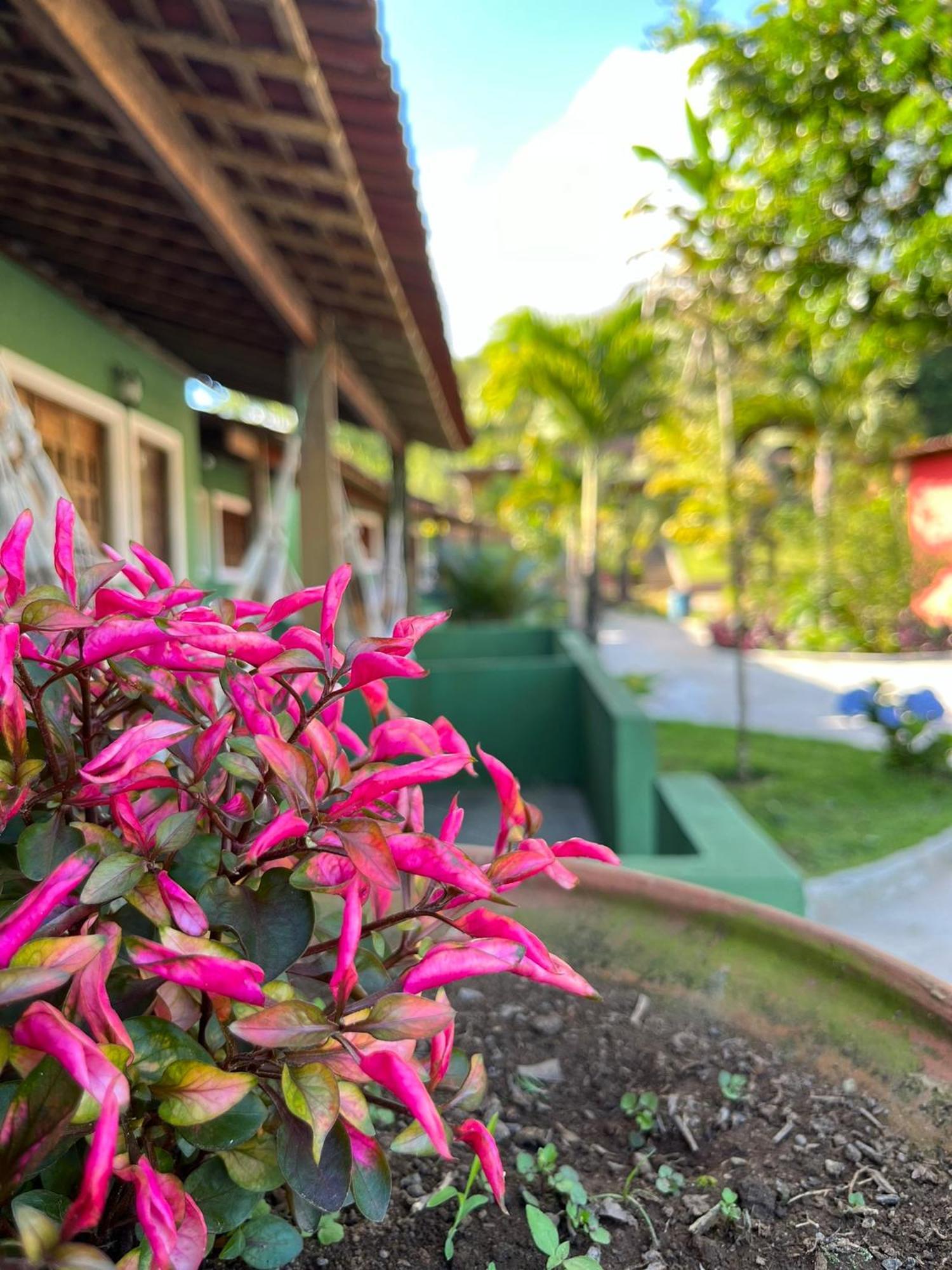 Pousada E Restaurante Alto Da Serra Bonito  Luaran gambar