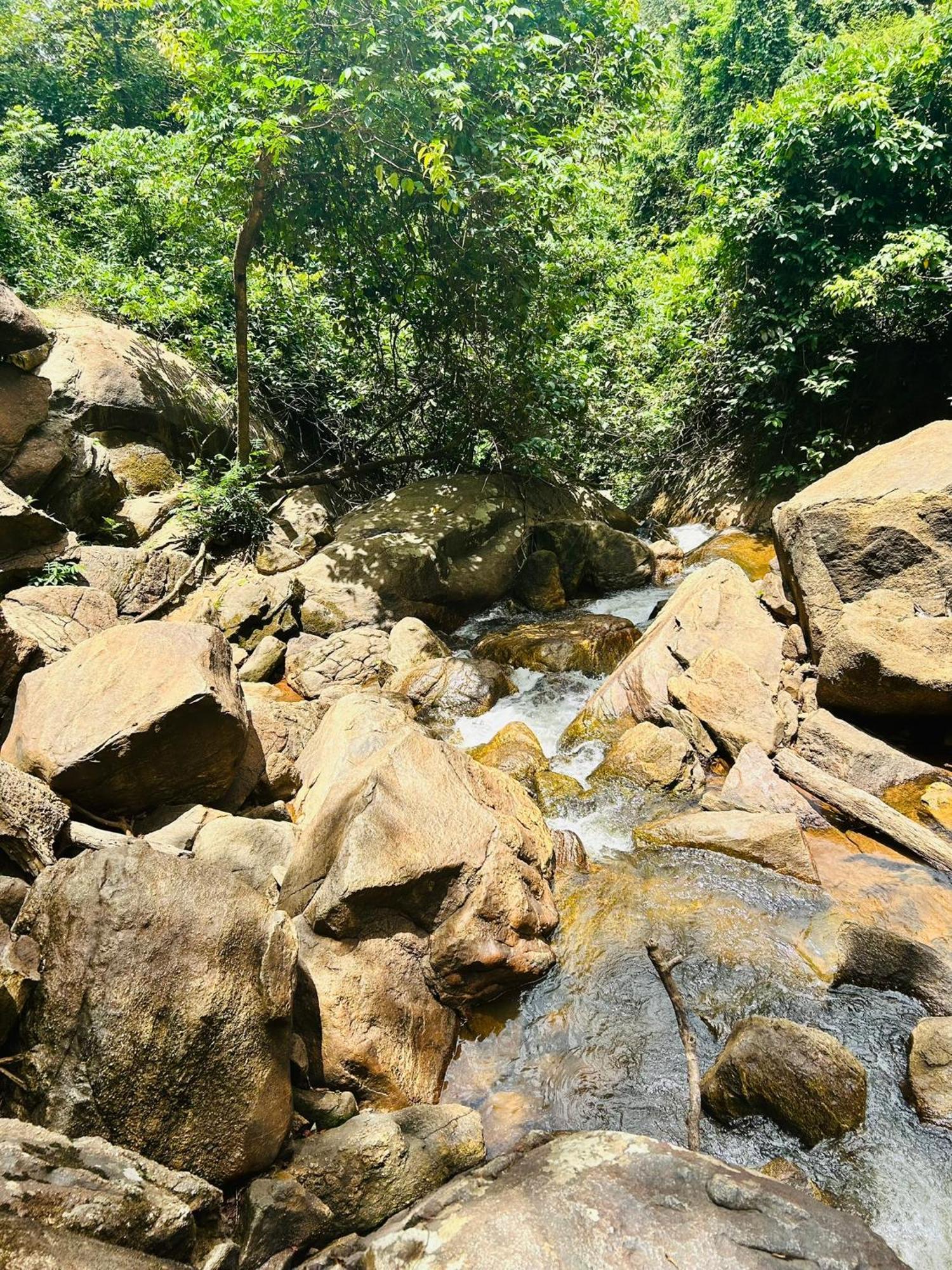 Pousada E Restaurante Alto Da Serra Bonito  Luaran gambar