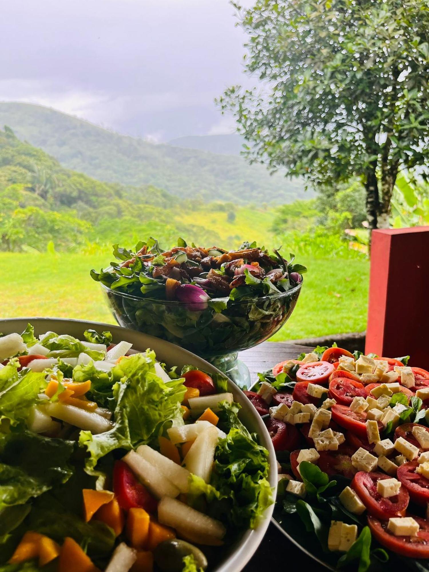 Pousada E Restaurante Alto Da Serra Bonito  Luaran gambar