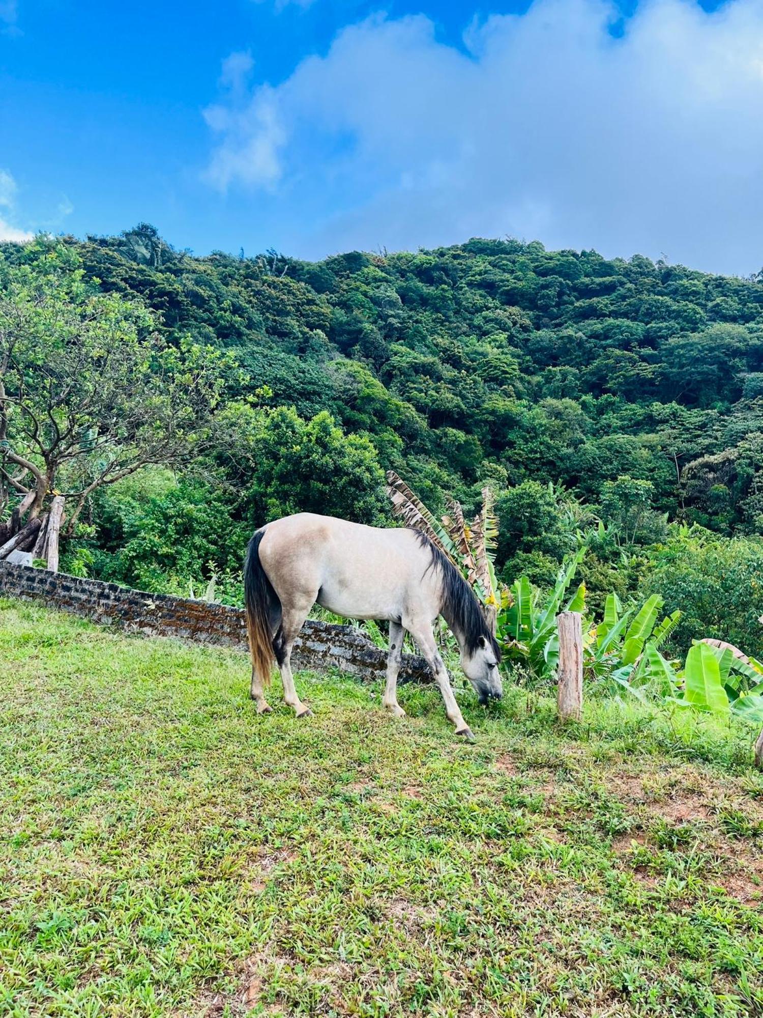 Pousada E Restaurante Alto Da Serra Bonito  Luaran gambar